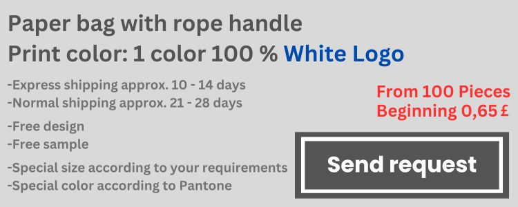 media/image/Paper-bag-with-rope-handle-Print-color-1-color-100.jpg