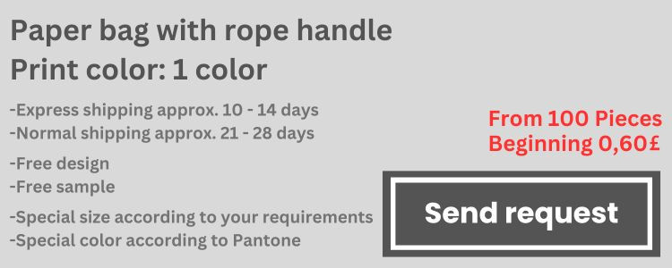 media/image/Paper-bag-with-rope-handle-Print-color-1-colour.jpg