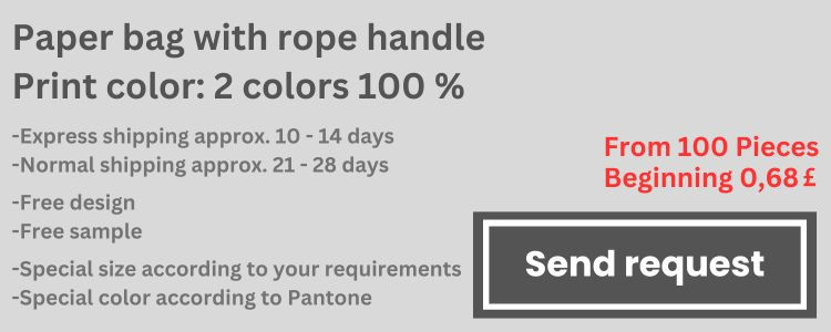 media/image/Paper-bag-with-rope-handle-Print-color-2-colors-100.jpg