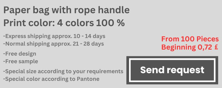media/image/Paper-bag-with-rope-handle-Print-color-4-colors-100.jpg