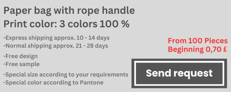 media/image/Paper-bag-with-rope-handle-Print-color-3-colors-100.jpg