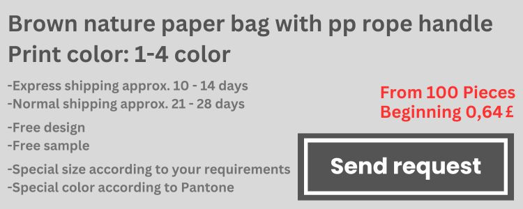 media/image/Brown-nature-paper-bag-with-pp-rope-handle-Print-color-1-4-color-1.jpg