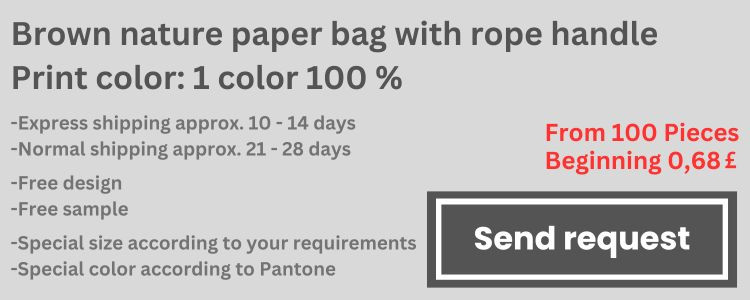 media/image/Brown-nature-paper-bag-with-rope-handle-Print-color-1-color-100.jpg