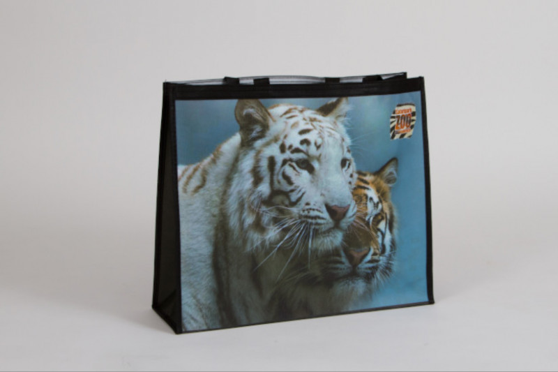 media/image/weisser-tiger-und-brauner-tigerndAow2qzXEmyz.jpg